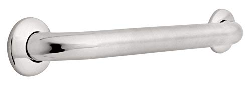 Franklin Brass Fb5618Psbs 18 Grab Bar, Concealed Mount, Peened And Bright Stainless
