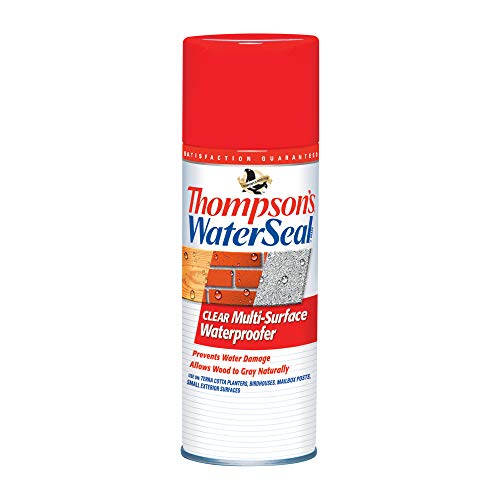 Thompsons Th.010100-18 Clear Multi-Surface Aerosol Waterproofer, 12 Ounce (Pack Of 1)