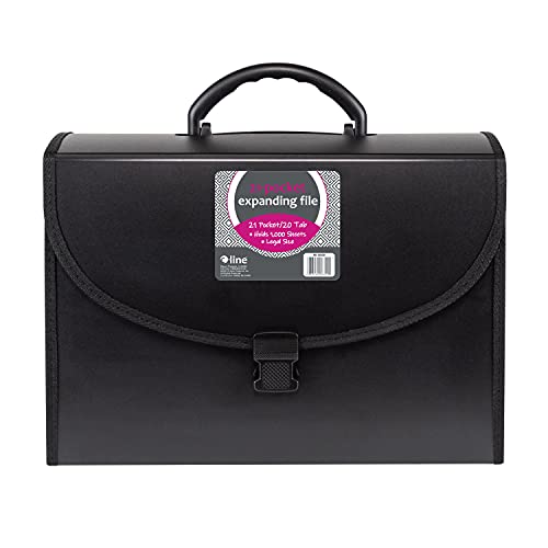 C-Line 21-Pocket Poly Expanding File With Handle, Includes Tabs, Locking Closure, Legal Size, Black (58320)