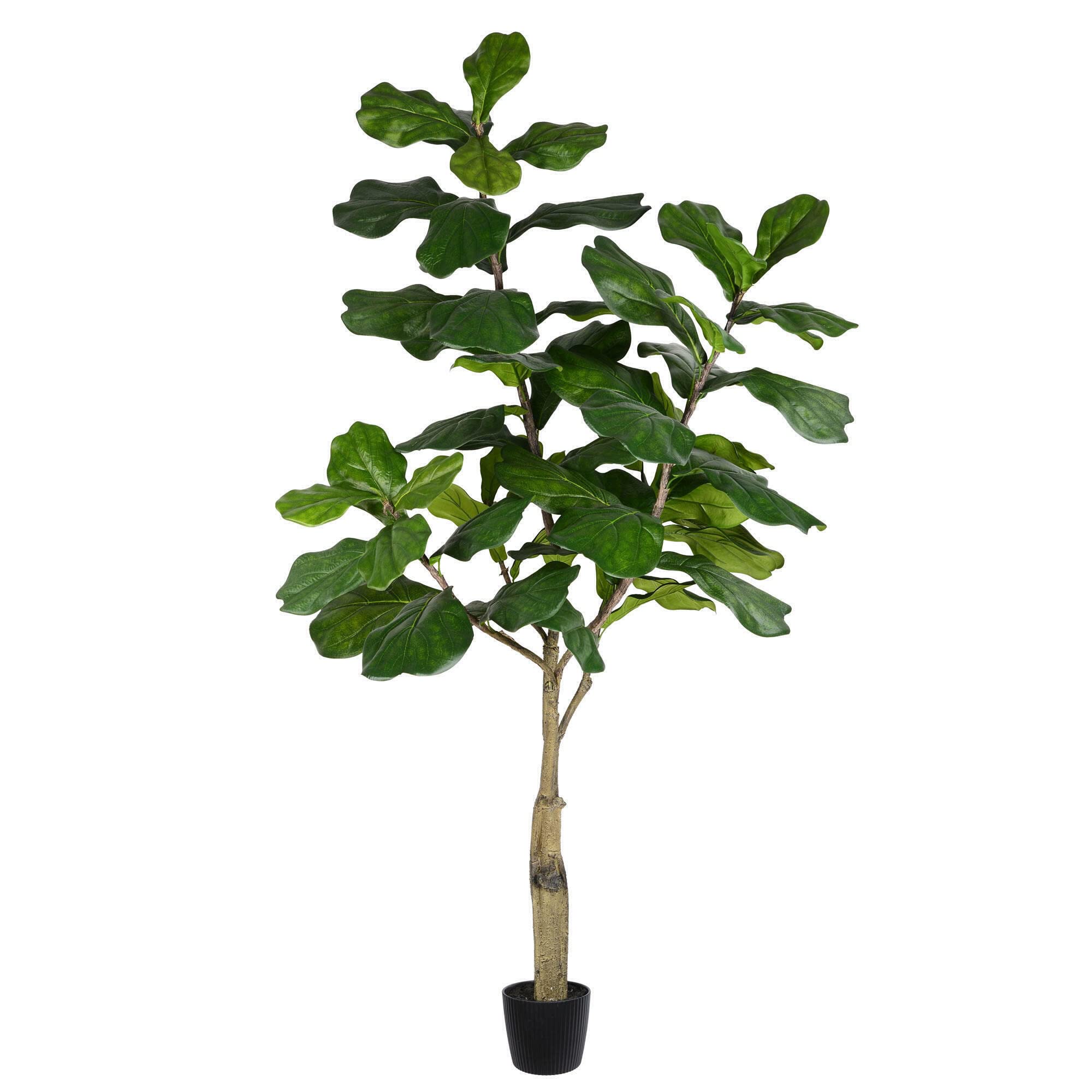 Vickerman Everyday Faux Fiddle Leaf Fig Tree 6Ft Tall Green Silk Artificial Indoor Fiddle Plant With 65 Large Fiddle Leaves Sing