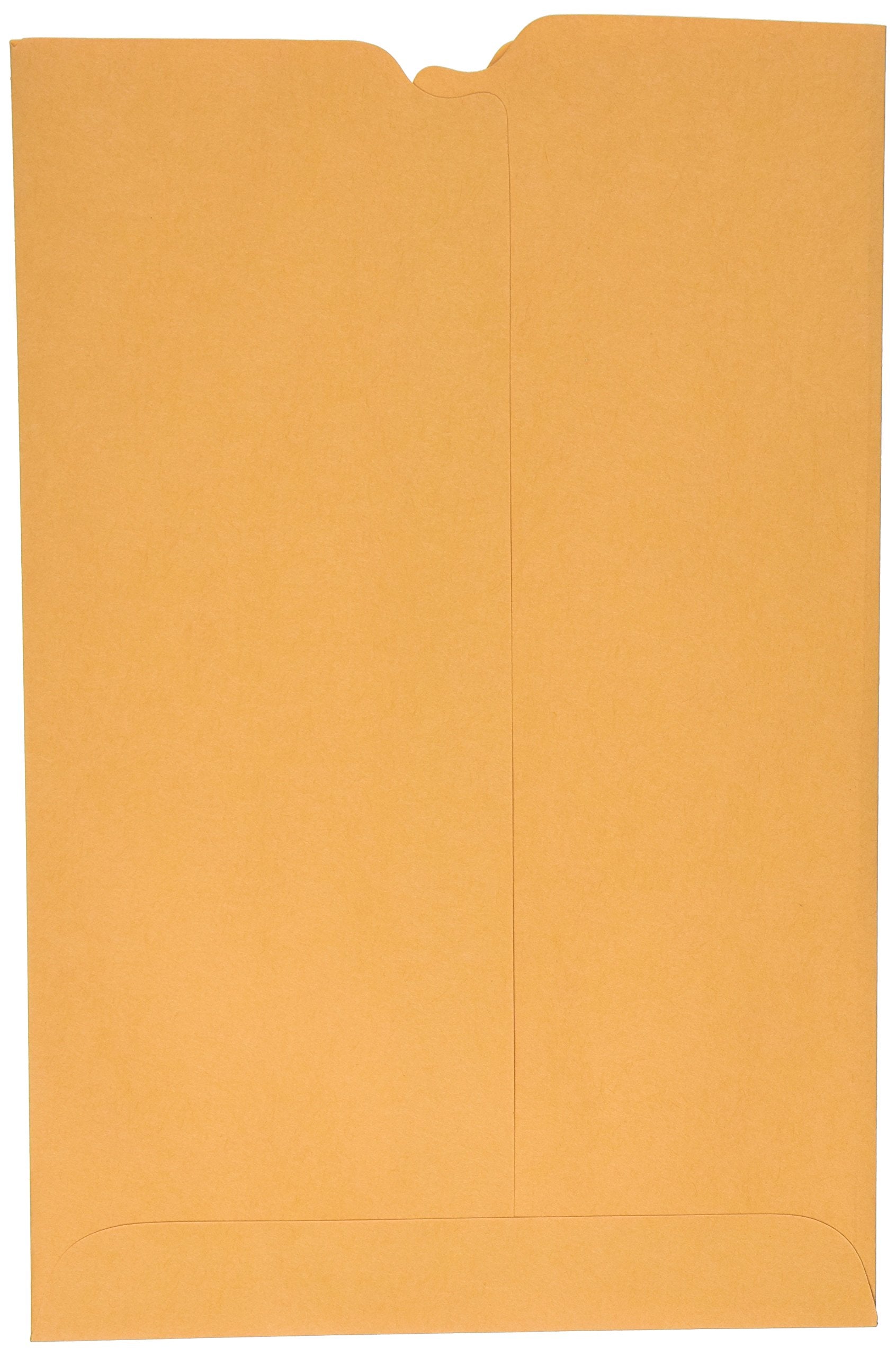 School Smart Report Card Envelope, 28 Lb, 6 X 9 Inch, Kraft, Pack Of 100