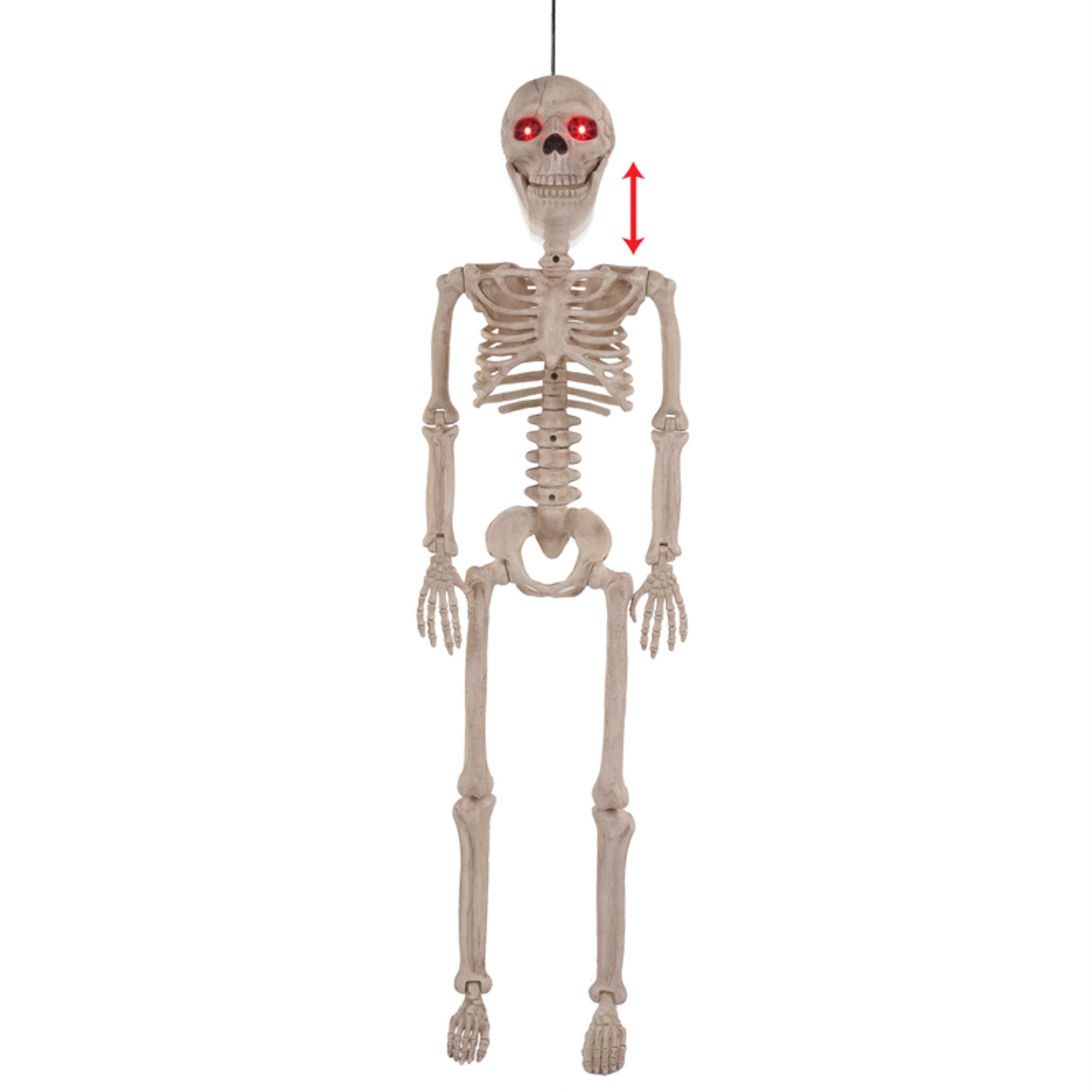 Animated Skeleton 36'''' (Pack Of 1)