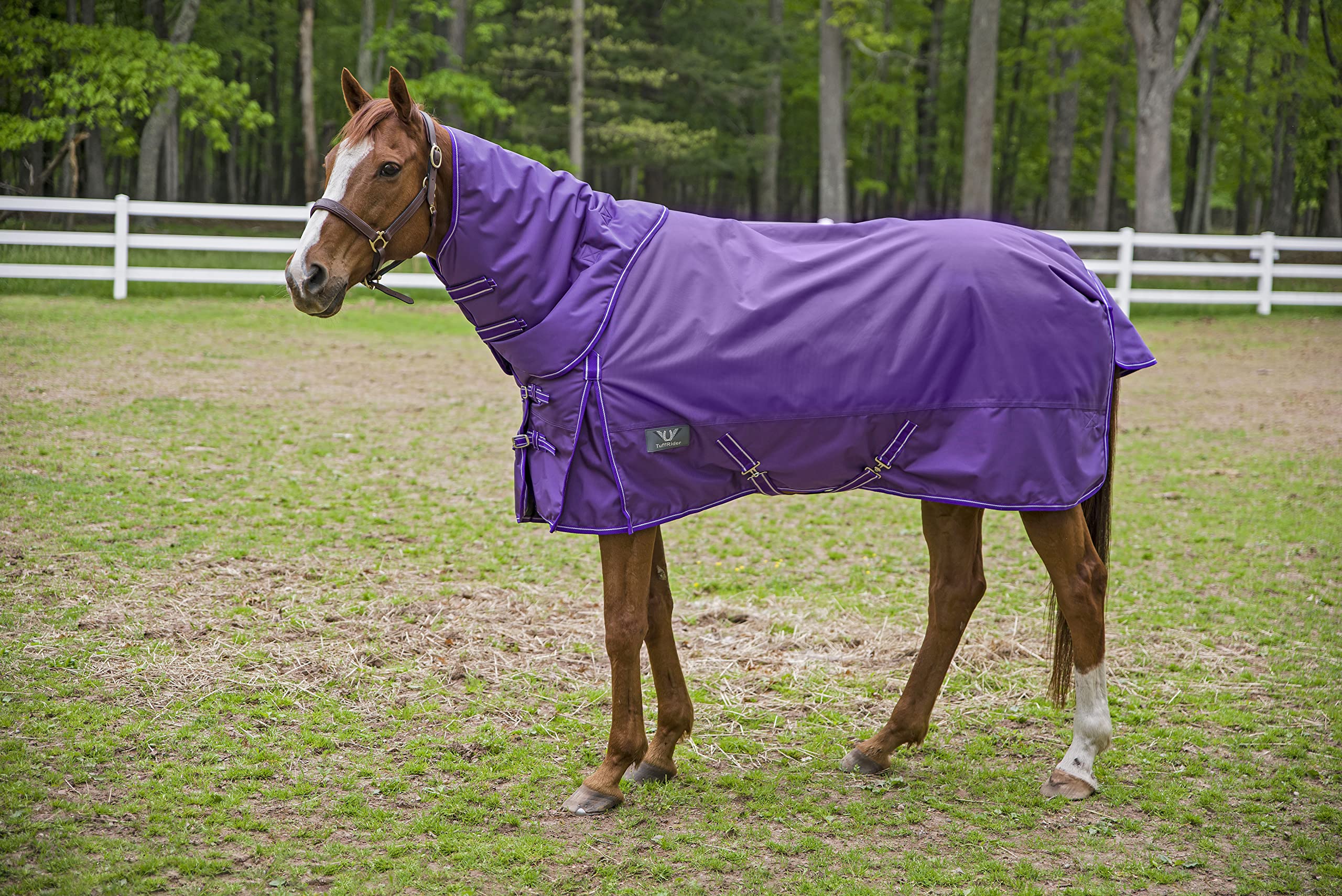 Tuffrider 1680 D Super Comfy Heavy Weight 350 Gms Detachable Neck Blanket- Purple-75