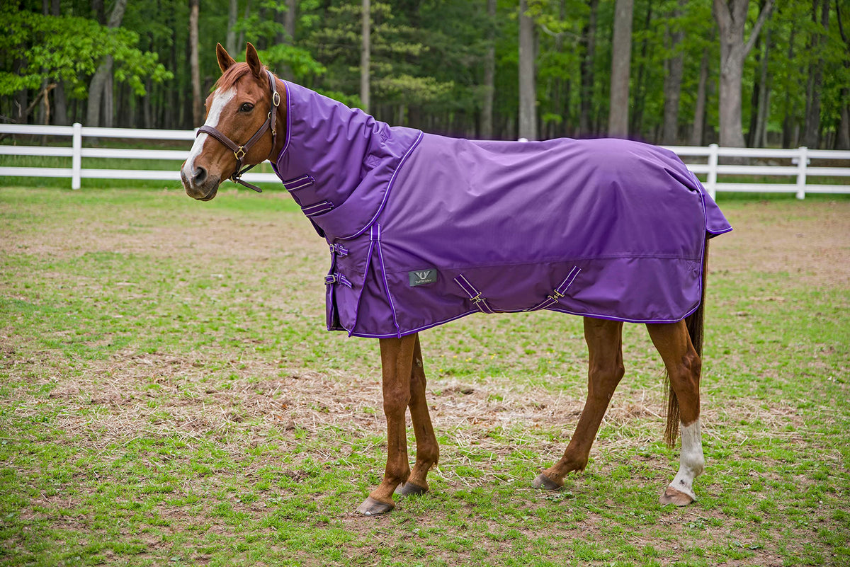 Tuffrider 1680 D Super Comfy Heavy Weight 350 Gms Detachable Neck Blanket- Purple-75