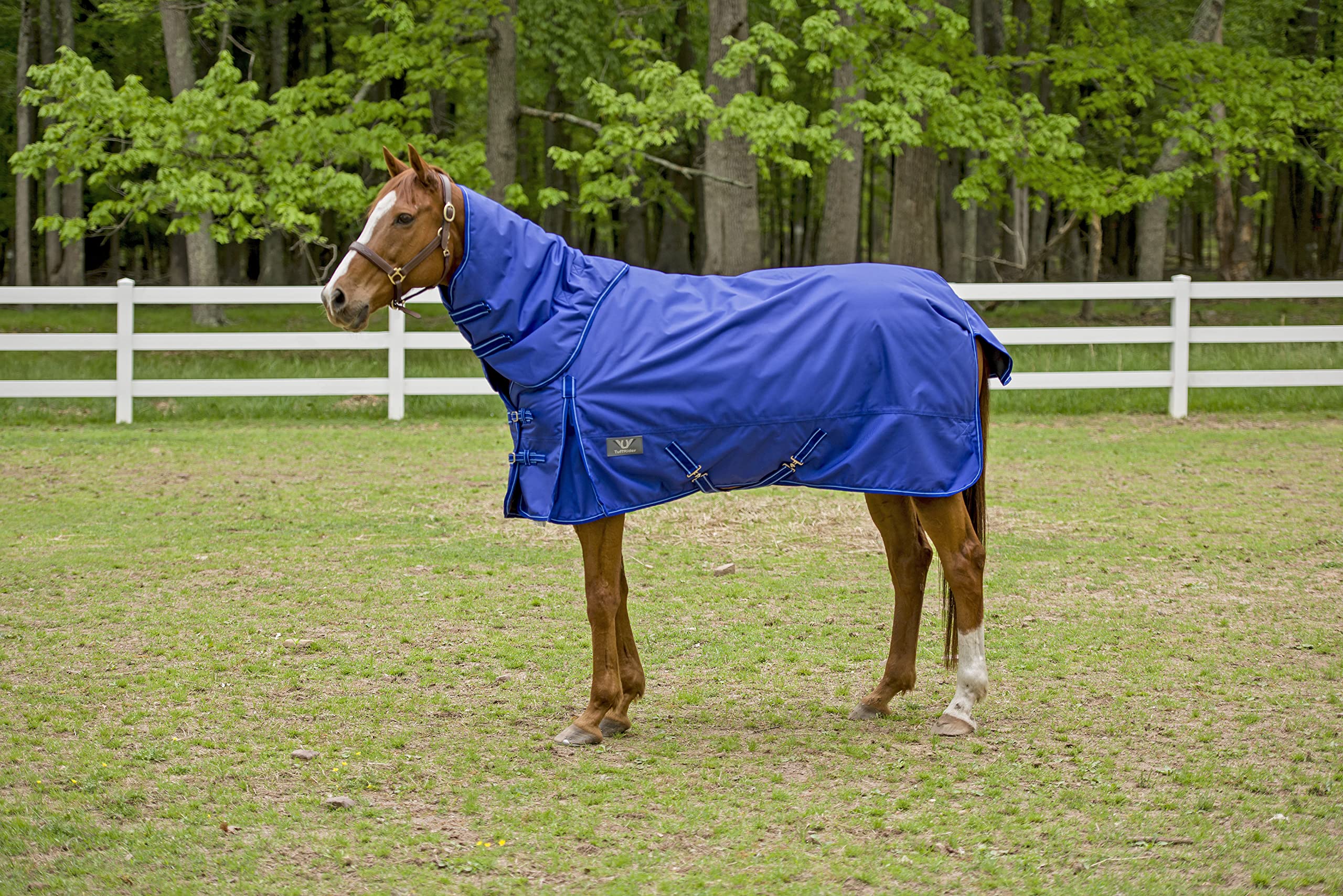 Tuffrider 1680 D Super Comfy Heavy Weight 350 Gms Detachable Neck Blanket- Royal- 81