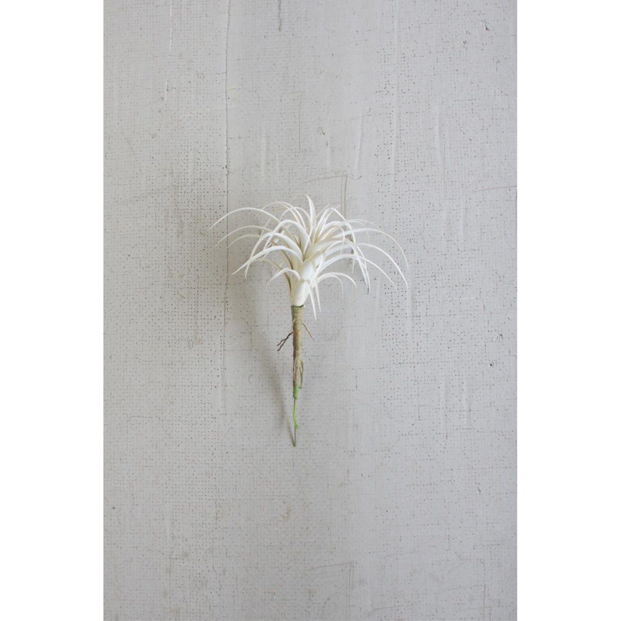 White Air Plant Small