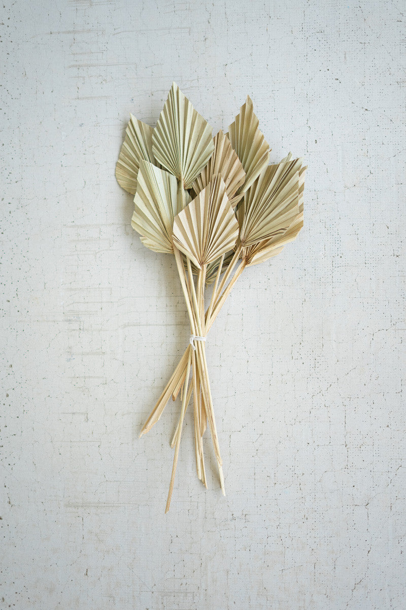 Bundle Of 12 Mini Palm Spears